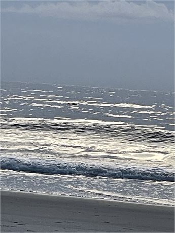 Looking For A Whole Life Policy